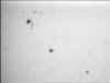 sonne4.jpg (11895 Byte)